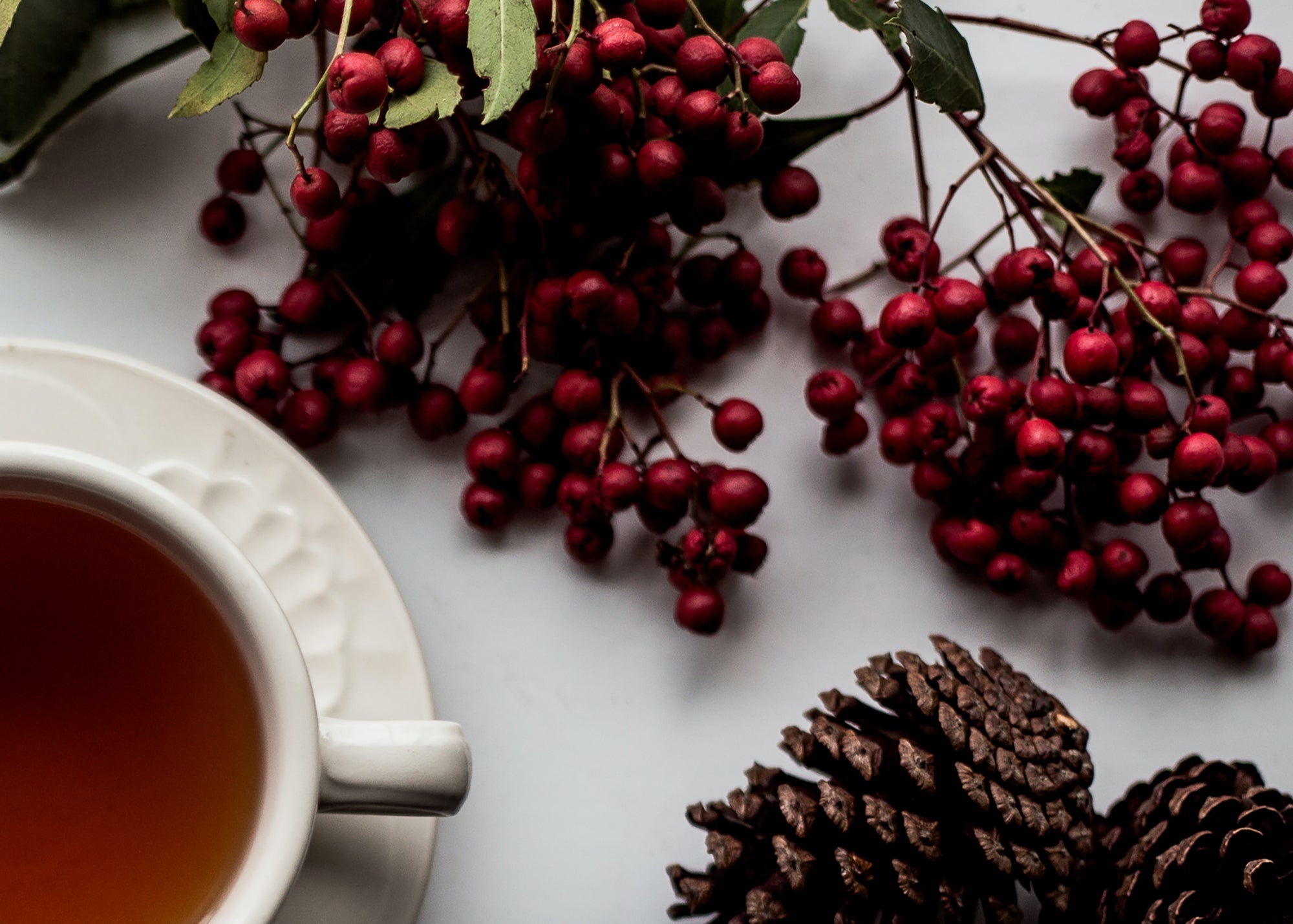 5 Christmas Present Ideas For Bubble Tea Fans!